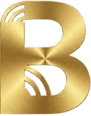Bigisub B Logo