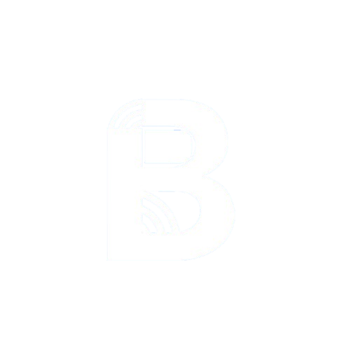 Bigisub Logo